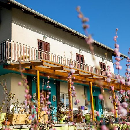 Farm Stay Synergia - Hiden Treasure Pazin Exterior foto