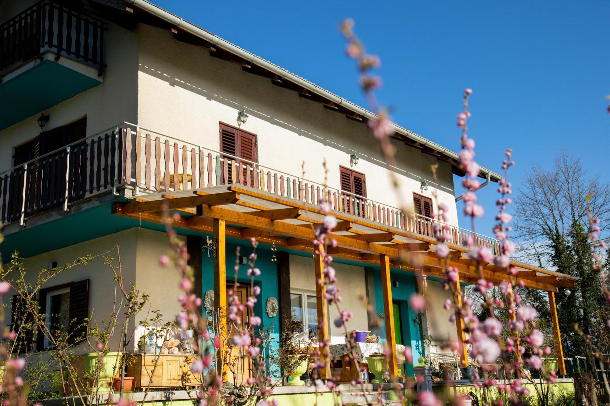 Farm Stay Synergia - Hiden Treasure Pazin Exterior foto